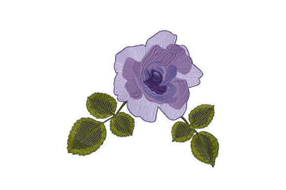 Dark Purple Rose